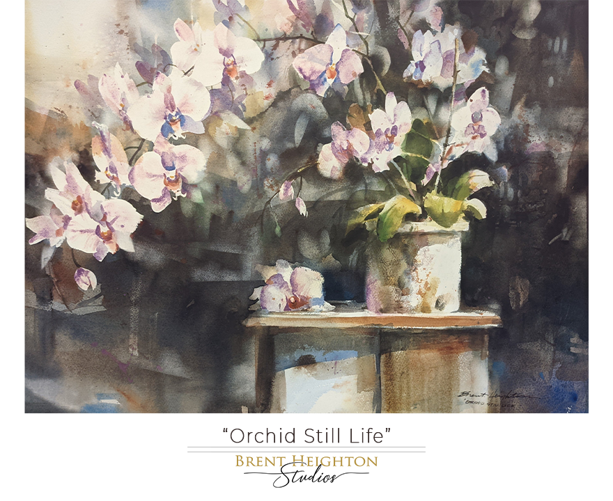Orchid Still Life (28" x 20.5")